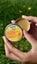 Weleda: Calendula All Purpose Balm (25g) Carousel 4