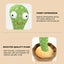Dancing Cactus Plush Toy Electronic Shake with song cute Dance Succulent Gift Carousel 7