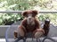DRIFTWOOD BEAR ONE OF A KIND BY JACCY THOMAS AWARD WINNING ARTIST MOHAIR Carousel 5