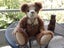DRIFTWOOD BEAR ONE OF A KIND BY JACCY THOMAS AWARD WINNING ARTIST MOHAIR Carousel 2