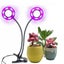 USB Powered Full Spectrum LED Plant Growth Phyto Lamp Carousel 2