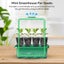 Mini Propagator Greenhouse Seed Starter Tray with Grow Light Carousel 6