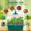 Mini Propagator Greenhouse Seed Starter Tray with Grow Light Carousel 12