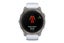Garmin Epix Pro Gen 2 Sapphire Smart Sports Watch (Titanium with Whitestone Carousel 9