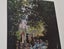 +++ CLAUDE MONET " THE PARC MONCEAU " LITHOGRAPH/PRINT +++ Carousel 10