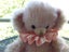 "MARSHMELLOW" RARE 2001 MERRYTHOUGHT CHEEKY YES-NO BEAR PINK MOHAIR 12/500 Carousel 2