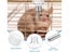 Auto Drinking Bottle Feeder For Hamster /Rabbits/Guinea Pigs Carousel 3