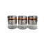 3 Piece Condiments Set - Silver Carousel 1