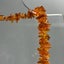 Mid Century Genuine Baltic Amber Cognac Necklace Carousel 4