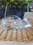 Lead Crystal Glass Sleeping Cat Trinket /Candy dish Carousel 1