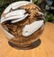 Resin Art Sphere With West Coast Fern And Sea Shells Carousel 3