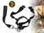 Dog Collar NZ Local Buy Now Carousel 1