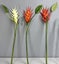 Artificial Heliconia Stem with Leaf - Large (White) Carousel 1