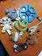Bulk McDonald's soft toy animals Carousel 1