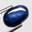 1.33ct Blue Star Sapphire 1pcs Carousel 2