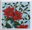 Greeting card, based on a David Wolverson design, Poinsettia Carousel 1