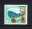 Jamaica - 1964 Definitive 2 1/2d Shells (1) - UHM Carousel 1