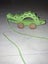 Hape baby toy wooden crocodile pull along Carousel 2