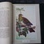 NZ Forest and Bird..3 x First Editions Carousel 3