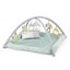 Baby Playmat Ingenuity Calm Springs Plush Activity Gym Carousel 2