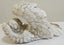Sleeping cherub, head to right Carousel 4