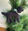 Labradoodle or Cavadoodle decoration Carousel 1