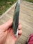 $1 reserve Greenstone Pounamu carving slab Carousel 4