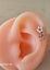 Enamel Flower Tragus. Carousel 1