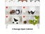 Kids Book Shelf Carousel 5