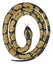 Wild Republic Rubber Snake (Ball Python) Carousel 1