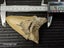 Megalodon Fossil Shark Tooth - 105mm / 4.2" Carousel 8
