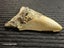 Megalodon Fossil Shark Tooth - 105mm / 4.2" Carousel 5