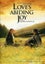 LOVE'S ABIDING JOY ( EXCELLENT CONDITION ) DVD Carousel 1