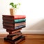 Solid Timber Corner Side Table Book Stack Plant Stand with Storage Compartment Carousel 7