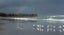 gallery view thumbnail