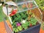 Maze Plant Inn Greenhouse Carousel 4