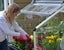 Maze Plant Inn Greenhouse Carousel 6