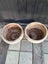 **$1 RESERVE TWO LARGE RUSTIC POTS....MOVING HOUSE** Carousel 2