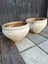 **$1 RESERVE TWO LARGE RUSTIC POTS....MOVING HOUSE** Carousel 3
