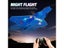 F22 Raptor RC Plane 2.4G 2CH LED Light EPP Foam Airplane Toy For Children Carousel 3