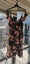 Pagani New Gorgeous Floral Dress 10 RRP $79 with tags Carousel 2