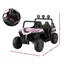 Kids Ride On Car Electric Toys Cars Headlight Music Remote Control Pink Carousel 3