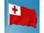 Tonga Flag NZ Clearance Carousel 9