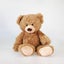 Soft Teddy Bear - Brown Carousel 1