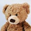 Soft Teddy Bear - Brown Carousel 2