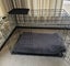 Large dog crate with bed and cover RRP $319 for crate Carousel 1