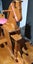 Child's Classic Wooden Rocking Horse Carousel 4