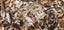 2KG - Edible Garden Giant Mushroom Starter Seed Carousel 6