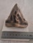 Bronze Megalodon tooth Carousel 4