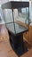 ~225 Litre Fish Aquarium With Shelf Stand Carousel 3